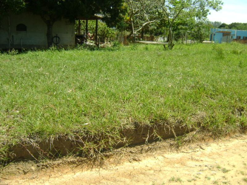 ARARUAMA –JAPÃO –TERRENO PLANO Á 100 M DO ASFALTO.