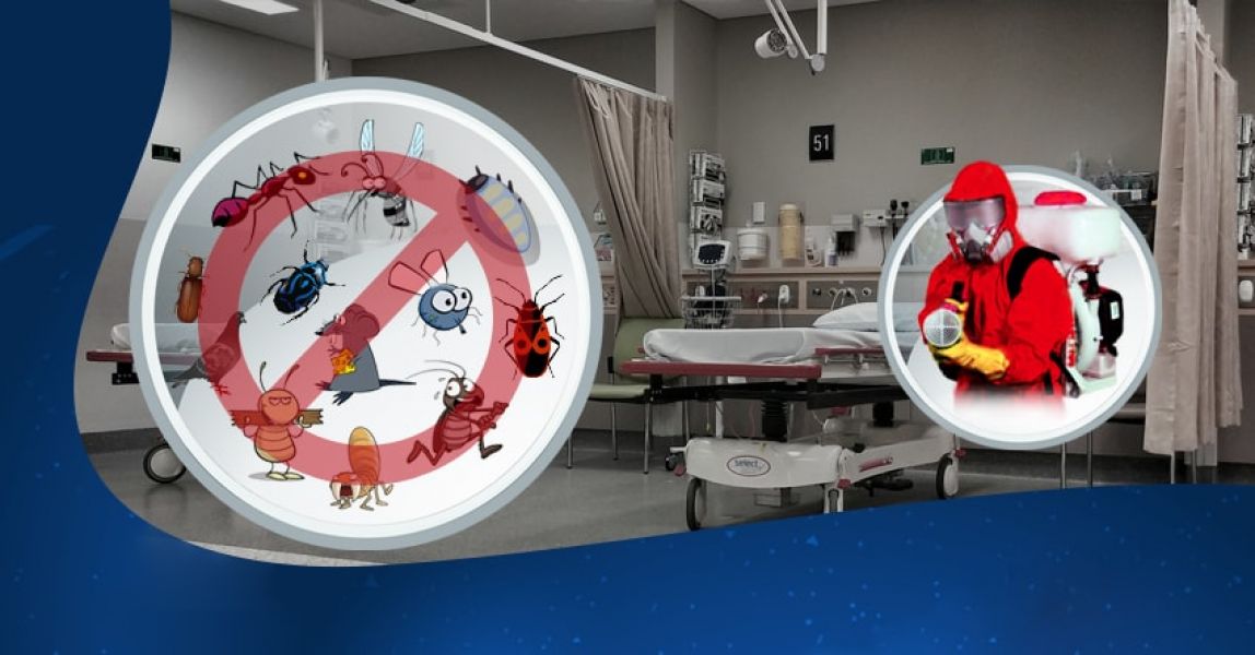 Desentupidora e Controladora de Pragas 24 Horas por dia