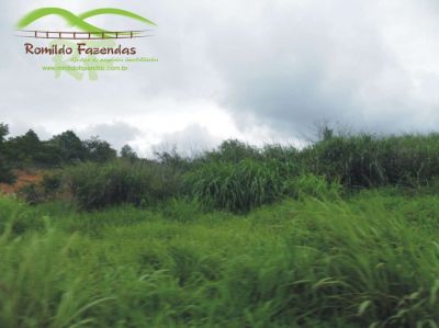 AREA INDUSTRIAL COM 820.000 M² COM 740 DE FRENTE BR 040