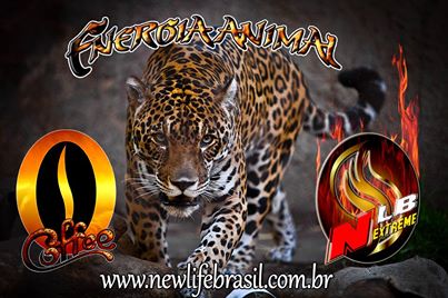 New Life Brasil