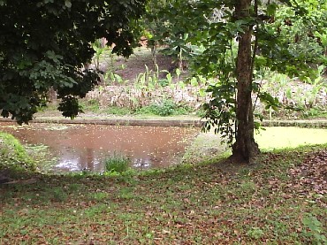 CACHOEIRAS DE MACACÚ SITIOS A VENDA CAETANO IMOVEIS