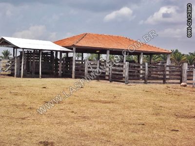 VENDE-SE FAZENDA NO TOCANTINS - COM 205 ALQ.  (Rio Araguaia)