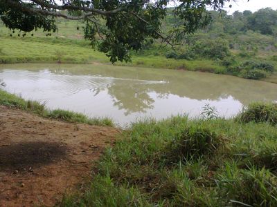 FAZENDA EM CURVELO -145 HA.