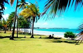 ALTINHOTUR Viagens e Receptivo (aluguel de van com motorista)