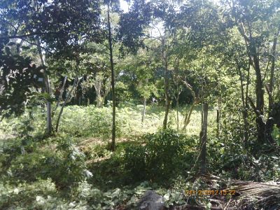 TOQUE TOQUE GRANDE 300 METROS DA PRAIA 