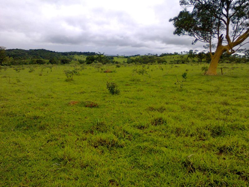 Lindas Chácaras para lazer - R$68.000