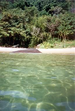 Carnaval 2013,Ilha Grande/RJ