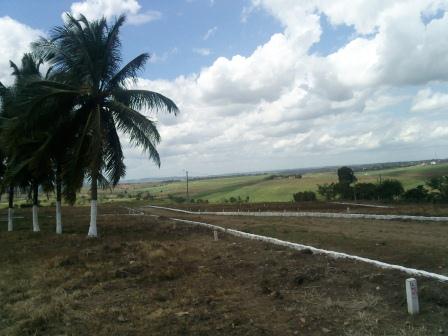 Terrenos em Carpina p/ R$ 20.000,00