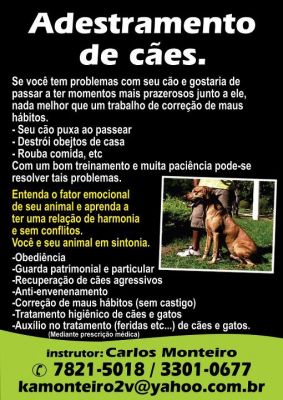 Adestramento inteligente de cães ( sem castigo)