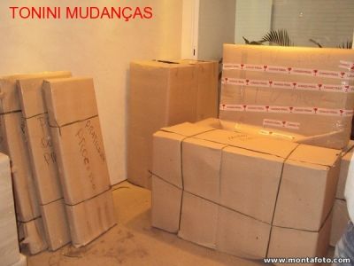 TRANSPORTADORA TONINI MUDANCAS E GUARDA-MÓVEIS