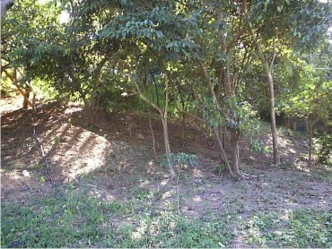 sitio em cachoeiras de macacú caetano imoveis