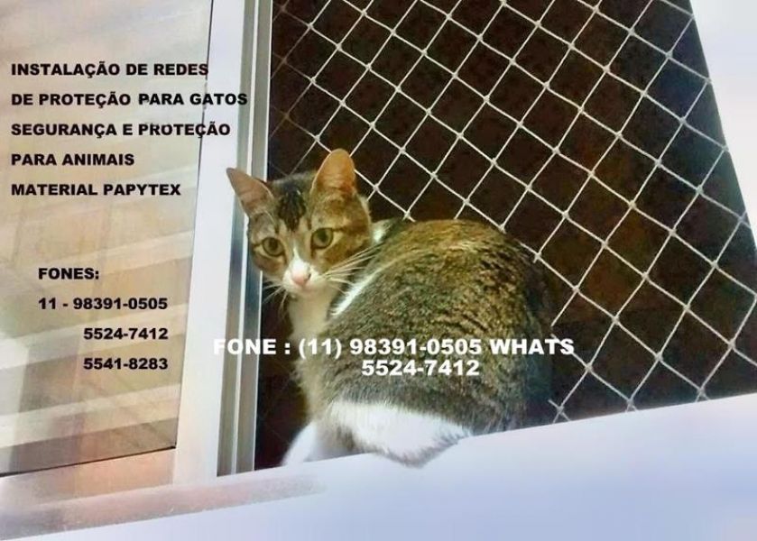 Instalação de Redes de Proteção na Rua Manoel Antonio Pinto , 1.200, (11) 5524-7412