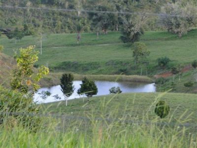 900 HECTARES NO SUL DA BAHIA BOA PARA CAFÉ CACAU SERINGA E GADO.