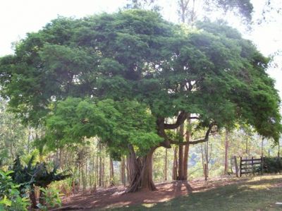 BELÍSSIMO SÍTIO PRÓXIMO AO CENTRO DA ESTÂNCIA HIDROMINERAL DE MONTE ALEGRE DO SUL