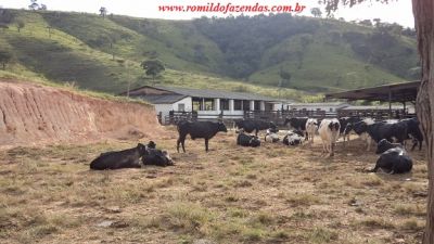 FAZENDA EM CLAUDIO 107 HA. LINDA ACEITA 50 % IMOVEIS