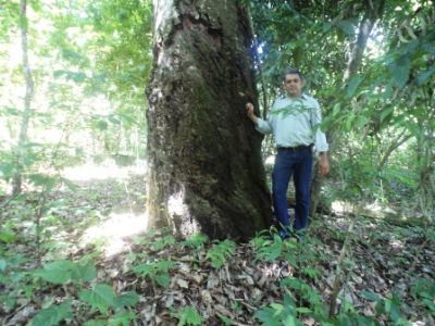 Fazenda na Zona Rural de Názario-GO cod.24