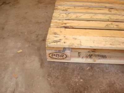 Paletes PBR, plastico e descartavel