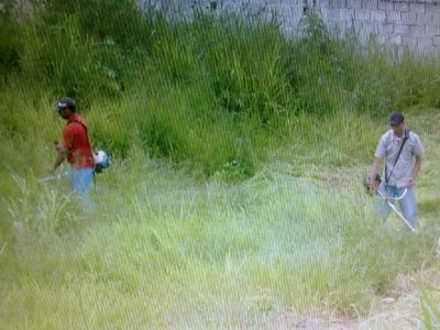 roçada de terreno -11 2303-5217 ,7303-3441