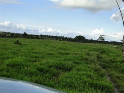 850hectares localizado no Sul da Bahia