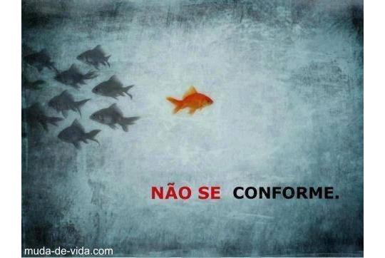 Trabalhe à Partir de Casa/Curso Profissionalizante