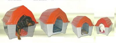 casas para cães
