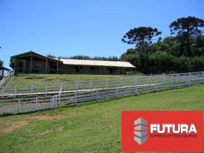 Haras totalmente estruturado para venda Urgente !!!!