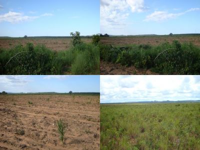 Fazenda a venda, 1.000 hectares em Balsas - MA na Serra do Penitente