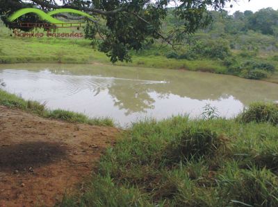 Fazenda curvelo com 145 ha