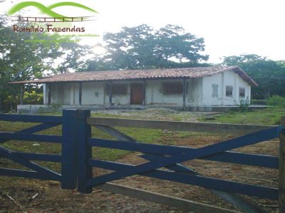 FAZENDA EM CURVELO - 5.000 HA.