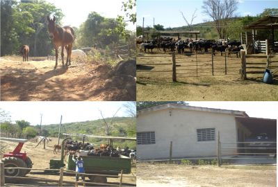 Fazenda em são Jose da Varginha , MG 