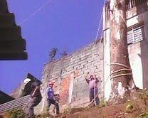 Eng Ambiental corte e Poda De Arvores