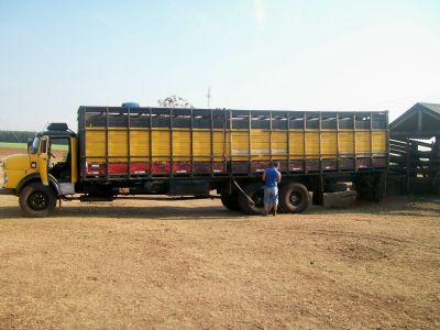 Vendo Caminhão Boiadeiro