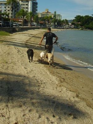 RAEL CENTRO DE ADESTRAMENTO