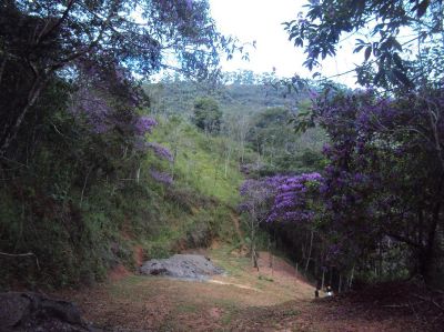 Chacaras ipanemão