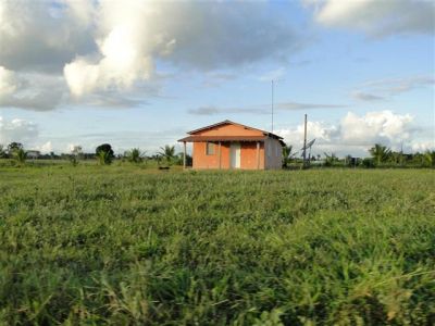 900 HECTARES NO SUL DA BAHIA BOA PARA CAFÉ CACAU SERINGA E GADO.