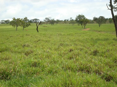 FAZENDA EM JOÃO PINHEIRO  -  FAZENDA OLHOS D'AGUA