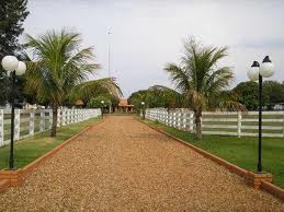 CRÉDITO RURAL É MUITO MAIS BARATO PELO CONSÓRCIO.