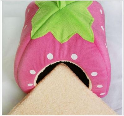 Casinha Iglu Moranguinho 