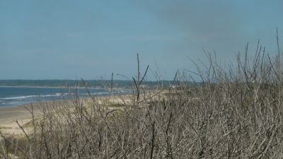 90 hectareas de terreno.