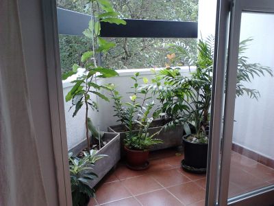 Apartamento 2 dormitórios Metrô Praça da Arvore