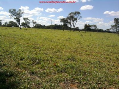  fazenda em curvelo com área de 1.286,49 ha