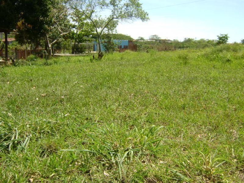 ARARUAMA –JAPÃO –TERRENO PLANO Á 100 M DO ASFALTO.