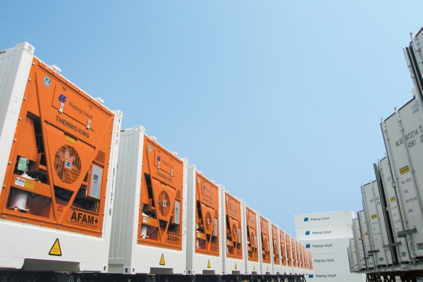Container Climatizado