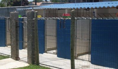 HOSPEDAGEM PARA CÃES DE TODAS AS RAÇAS E TAMANHOS 