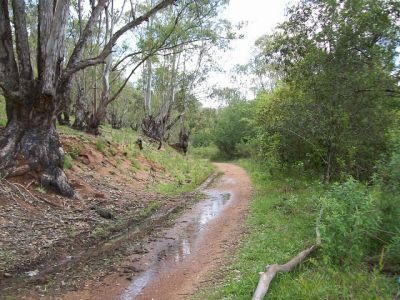 TERRENO LOTE ECOVILLAGE URBAN RESORT VIAMÃO RS