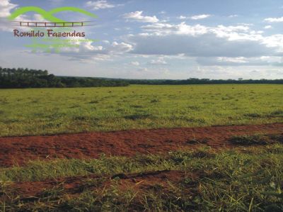 FAZENDA EM CURVELO - 5.000 HA.