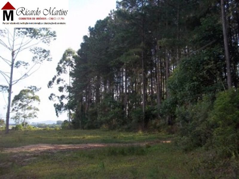 Turvo Morro Chato terreno sítio venda
