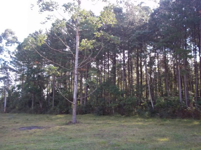 Terreno rural a venda Turvo Morro Chato