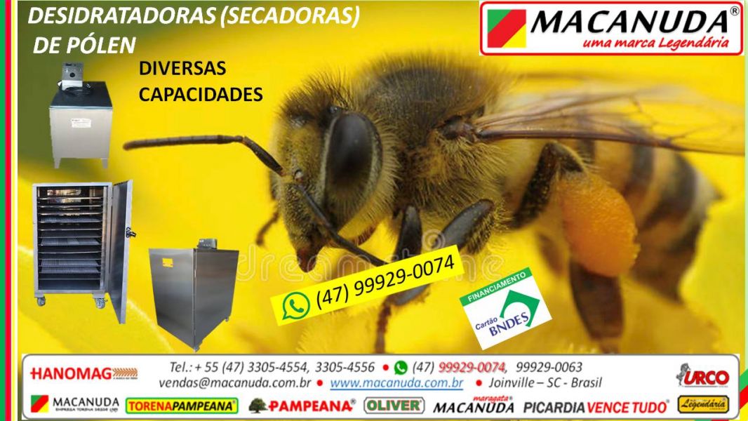 MÁQUINA Industrial para secar CENOURA marca MACANUDA