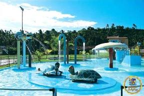 temporada / transportes / ônibus / micros / vans / carros